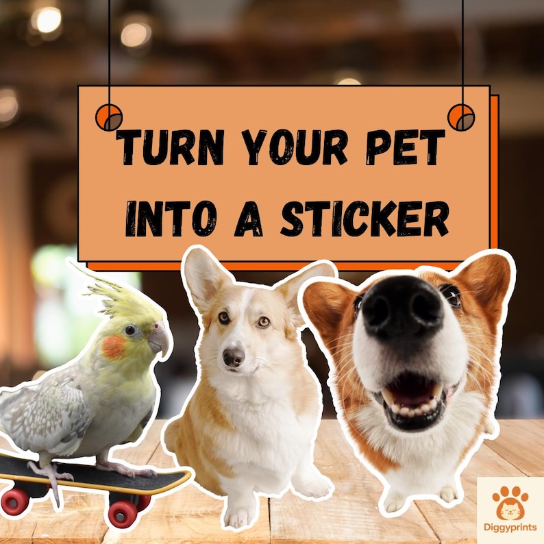 Pets sticker example