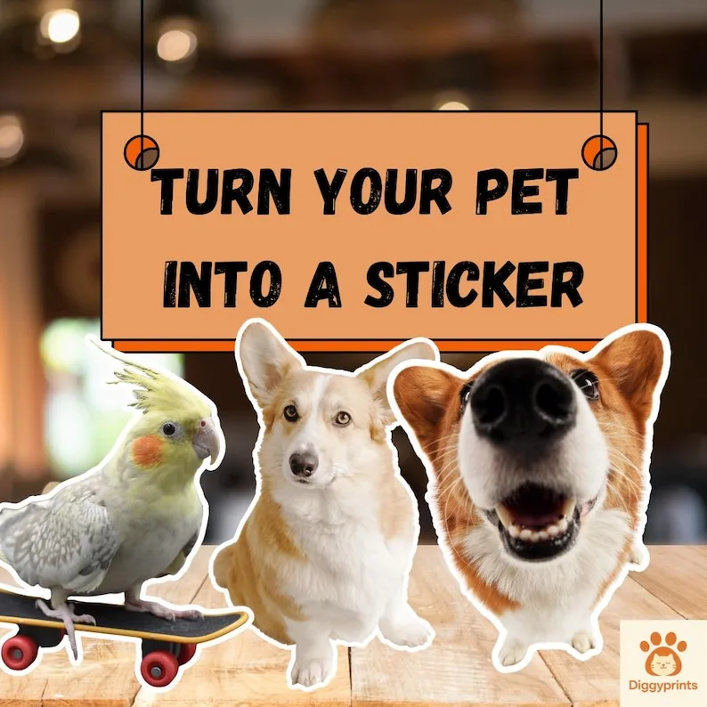 Custom pet sticker